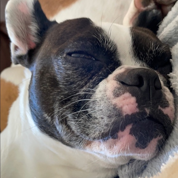 Meet your Posher, Stacey natasha - Picture 1 of 1